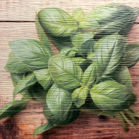 I Portici Di Sottoripa Appartamento